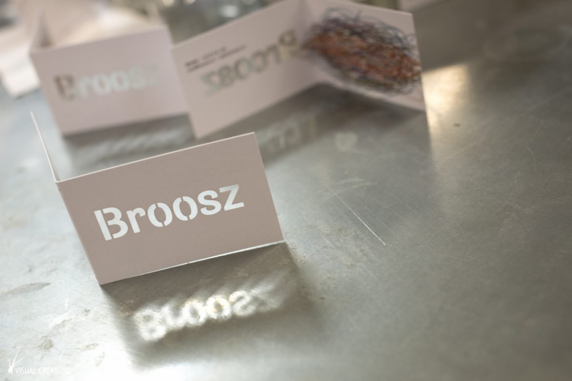 A look into the process of branding Broosz